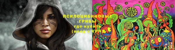метадон Михайлов