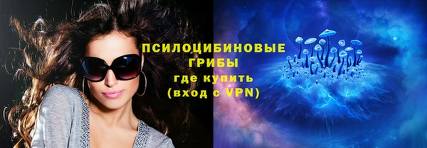 метадон Михайлов