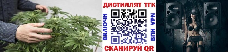 где найти   Правдинск  Дистиллят ТГК THC oil 